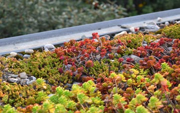 the cost of Lower Down green roof installation