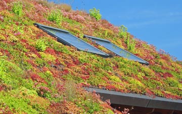 Lower Down living roof systems